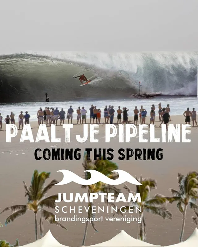 Anne Zwagers Branding and Identity Design - AZ works