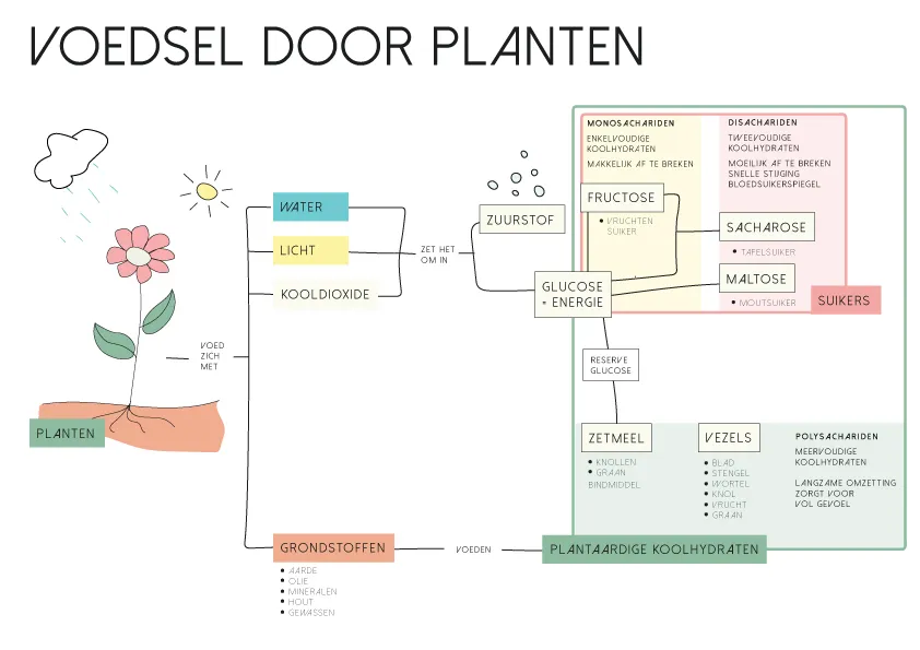 Anne Zwagers Illustration Design - AZ works