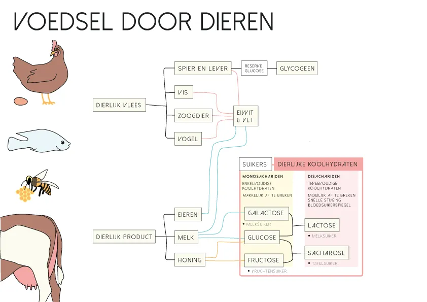 Anne Zwagers Illustration Design - AZ works