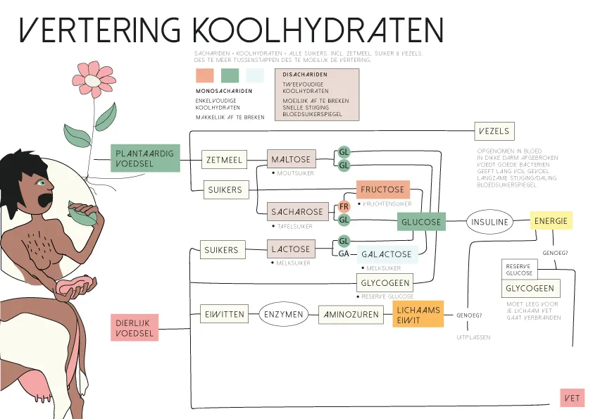 Anne Zwagers Illustration Design - AZ works