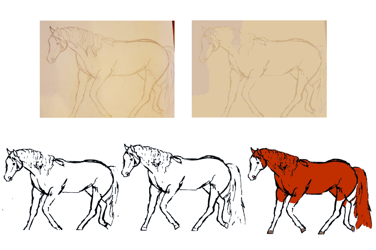 Anne Zwagers Illustration Design - AZ works