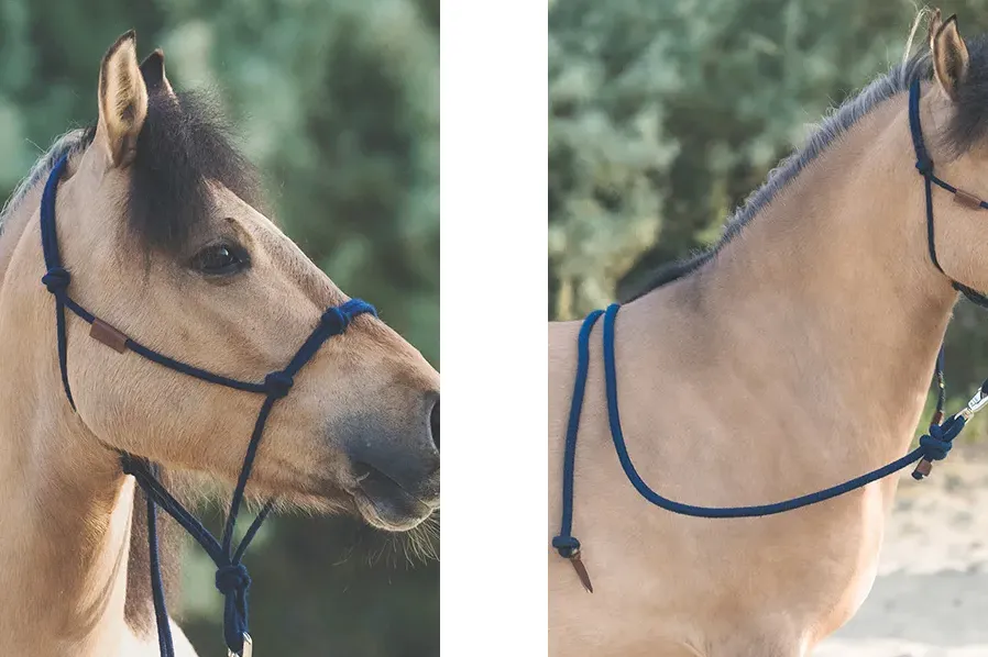 Anne Zwagers Print & Handmade Product Design - AZ works