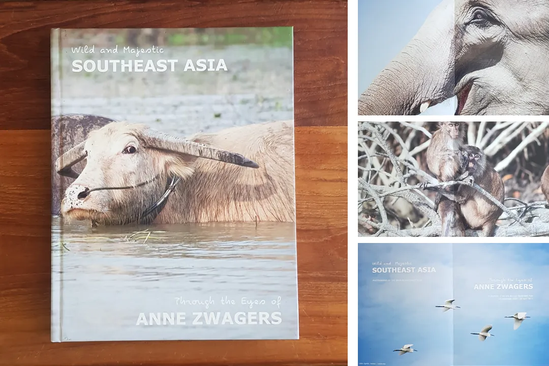 Anne Zwagers Print & Handmade Product Design - AZ works