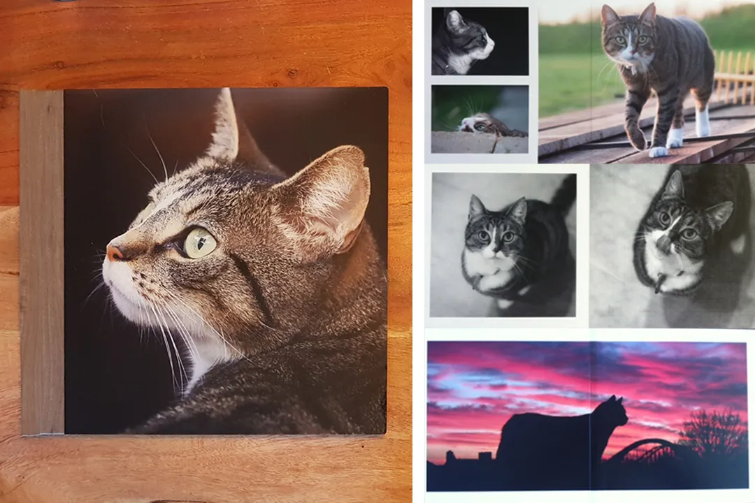 Anne Zwagers Print & Handmade Product Design - AZ works