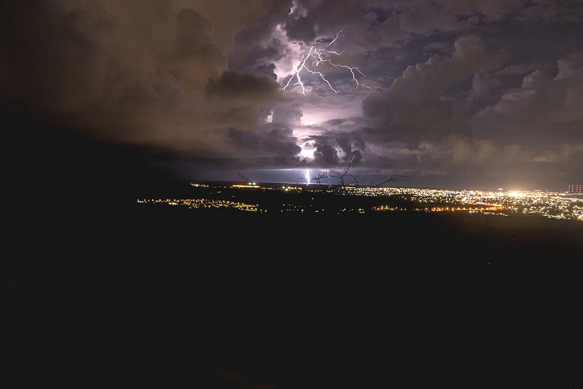 Anne Zwagers Nature Photography - AZ works