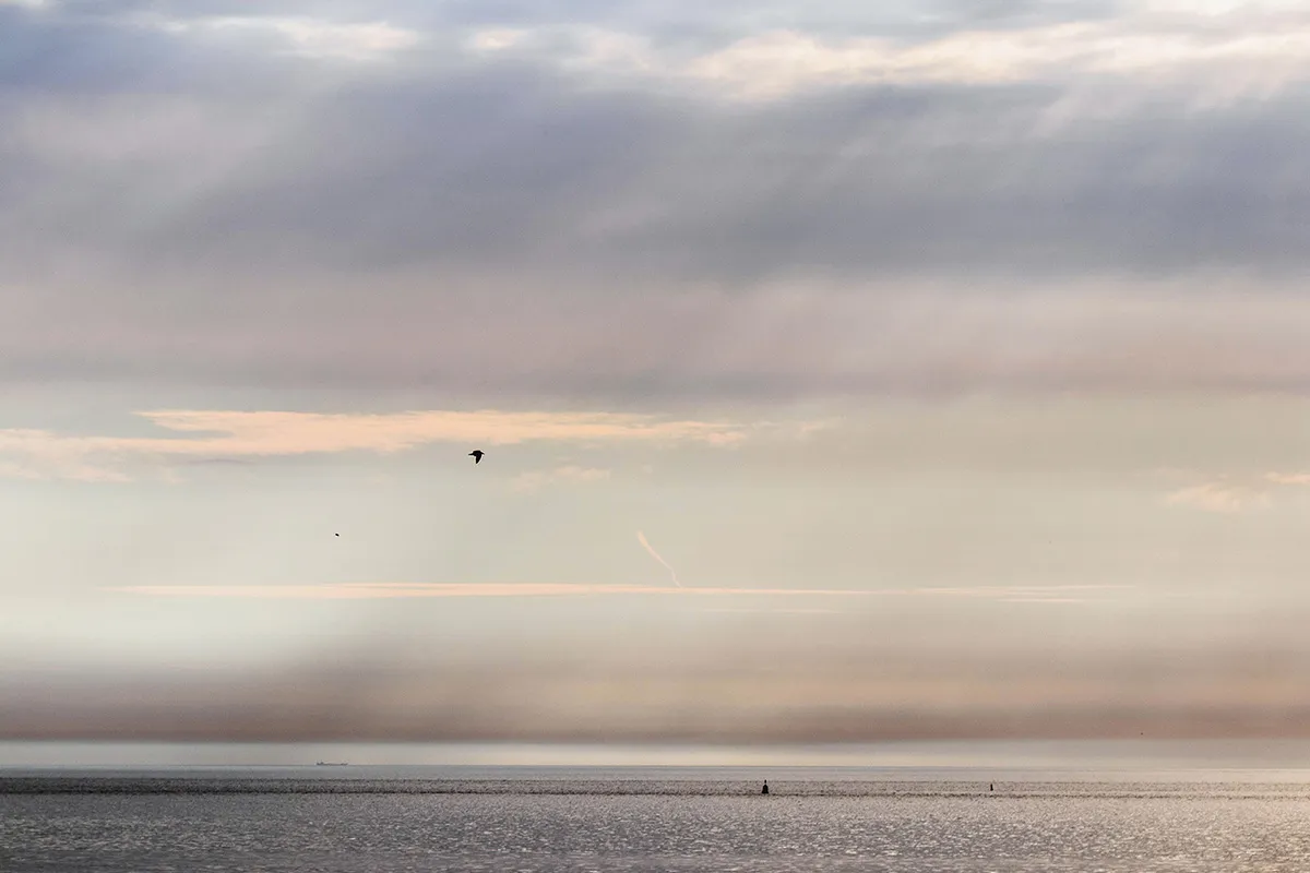 Anne Zwagers Nature Photography - AZ works