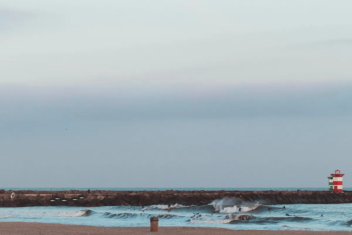 Anne Zwagers Nature Photography - AZ works