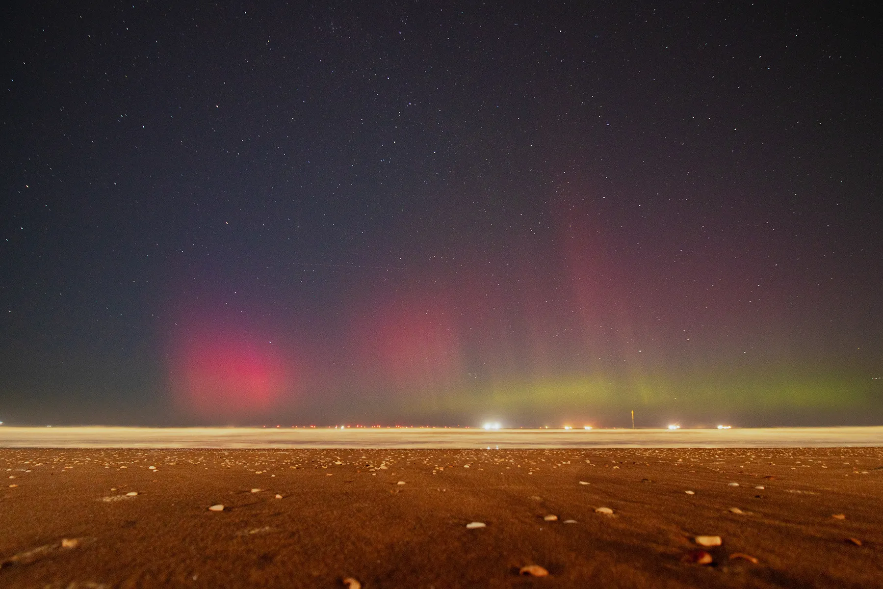 Anne Zwagers Nature Photography - AZ works