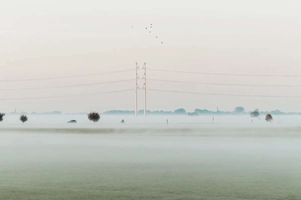 Anne Zwagers Nature Photography - AZ works