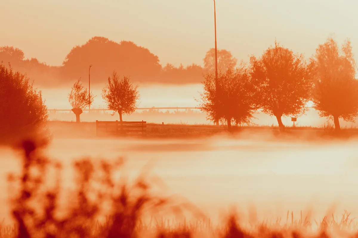 Anne Zwagers Nature Photography - AZ works