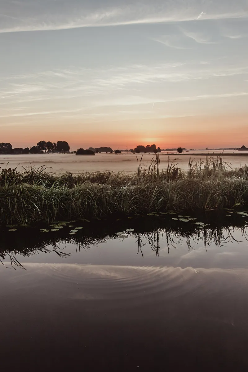 Anne Zwagers Nature Photography - AZ works