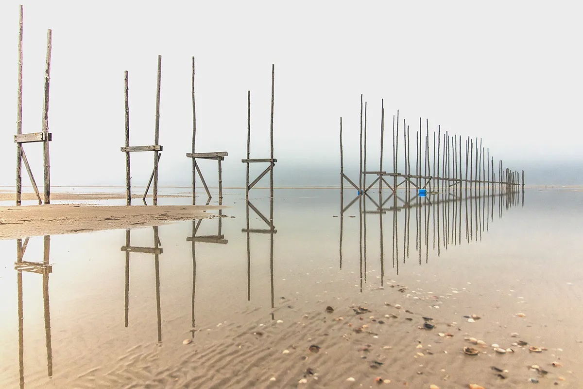 Anne Zwagers Nature Photography - AZ works