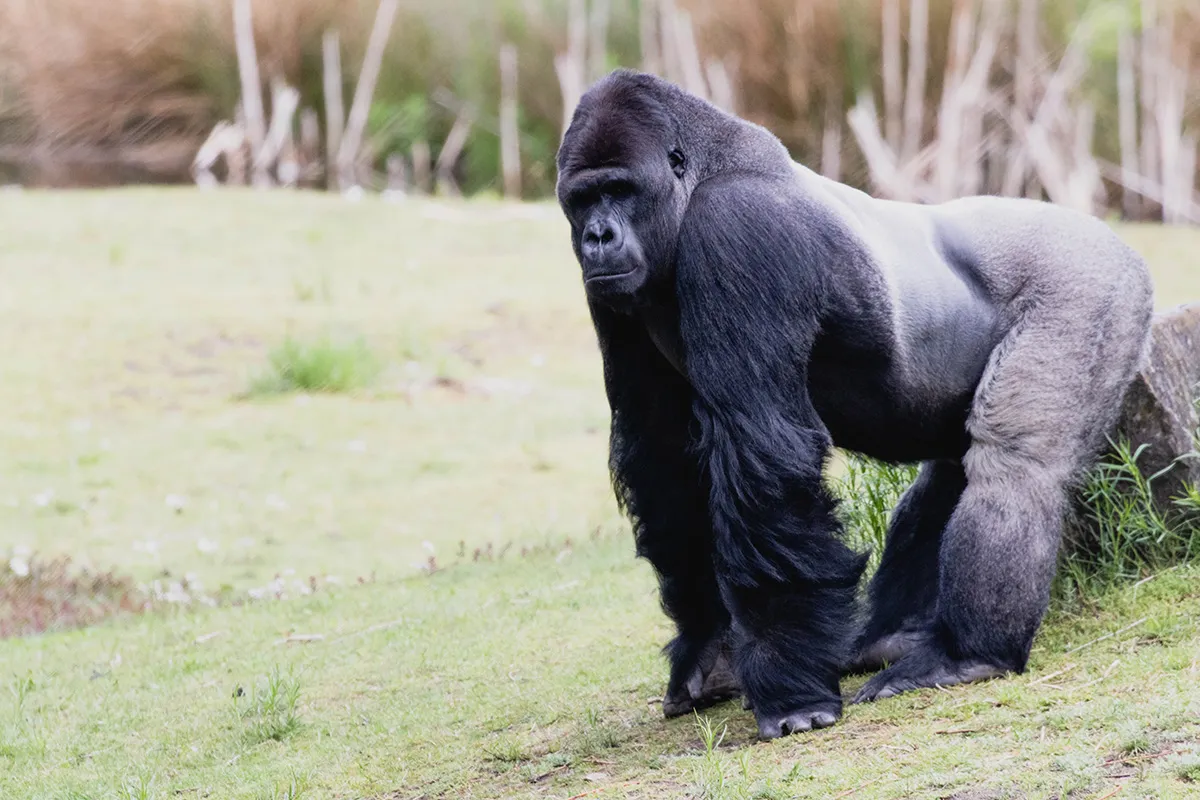 Anne Zwagers Nature Photography - AZ works