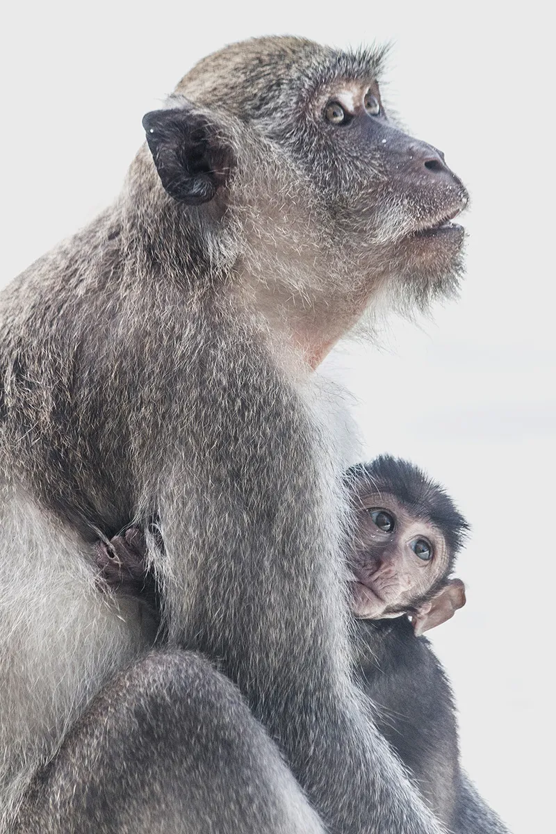 Anne Zwagers Nature Photography - AZ works