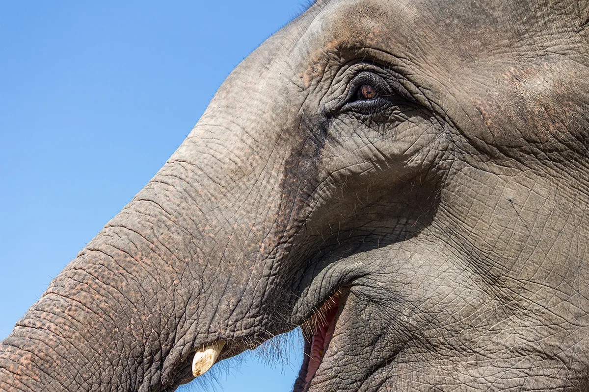 Anne Zwagers Nature Photography - AZ works