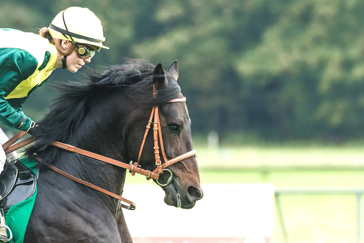 Anne Zwagers Sport Photography - AZ works