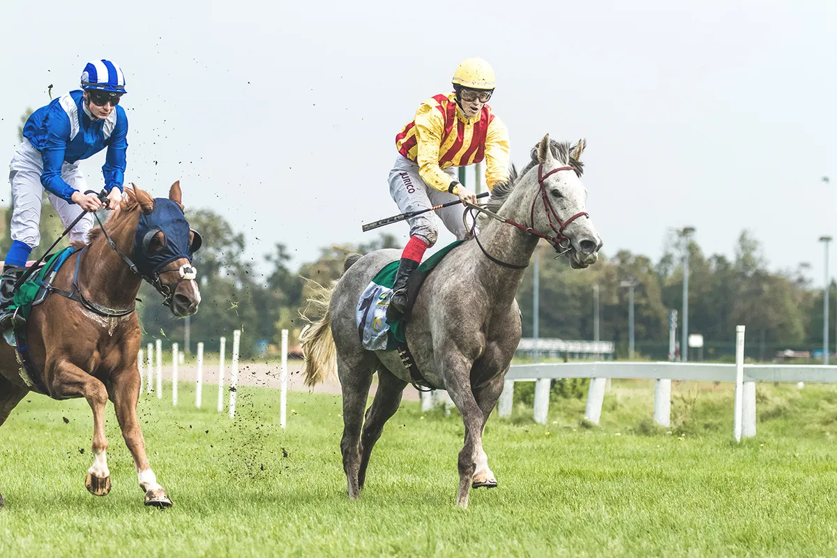 Anne Zwagers Sport Photography - AZ works